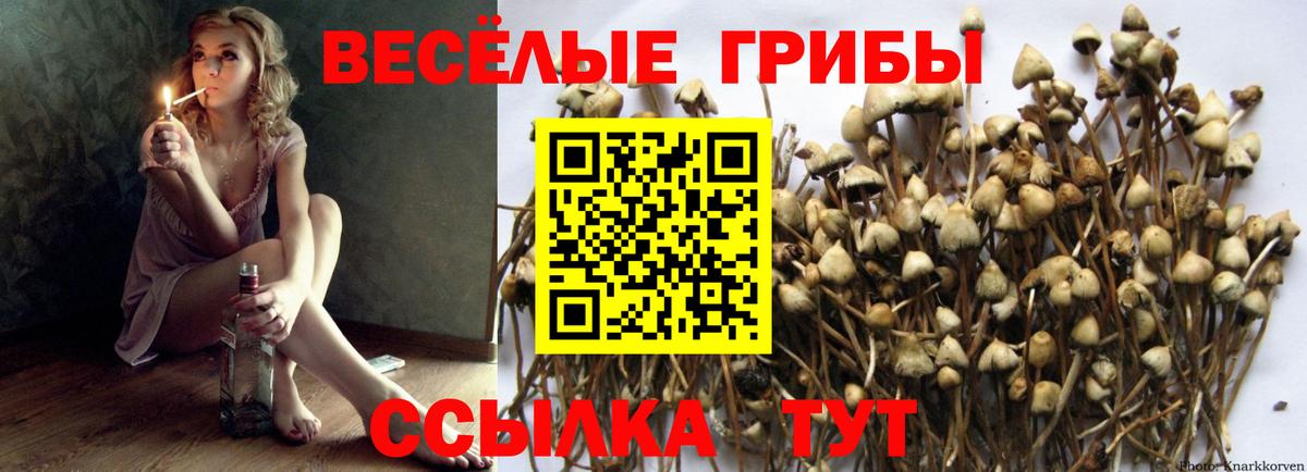 Галлюциногенные грибы Magic Shrooms  Вход с VPN  Беслан 