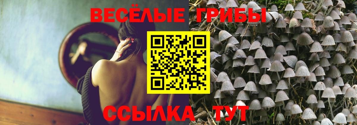 Галлюциногенные грибы Psilocybe Беслан